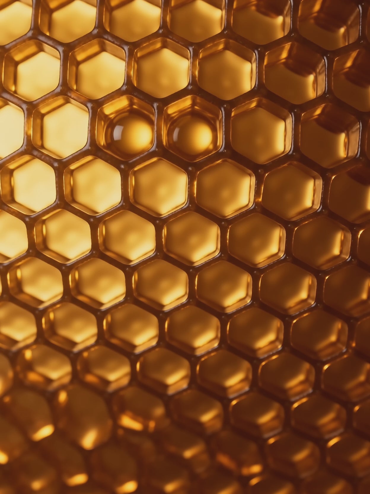 HONEY RUSH